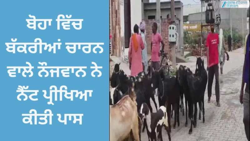 Mansa News: ਬੋਹਾ ਦੇ ਬੱਕਰੀਆਂ ਚਾਰਨ ਵਾਲੇ ਨੌਜਵਾਨ ਨੇ ਯੂਜੀਸੀ ਨੈਟ ਦੀ ਪ੍ਰੀਖਿਆ ਕੀਤੀ ਪਾਸ