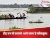 Monsoon Alert: रिमझिम बारिश के साथ होगी अगस्त की शुरुआत! इन शहरों में बाढ़ की चेतावनी, जान लें मौसम अलर्ट