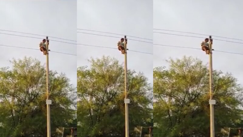 Lalitpur Video: नशे में पहले बिजली के खंभे पर चढ़ा, फिर युवक ने किया 'खतरों के खिलाड़ी' वाला कारनामा