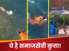 Viral Video