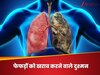 सिगरेट का कश नहीं लगाते, तो न रहें बेखौफ, इन लापरवाही भी से भी बर्बाद हो सकते हैं फेफड़े