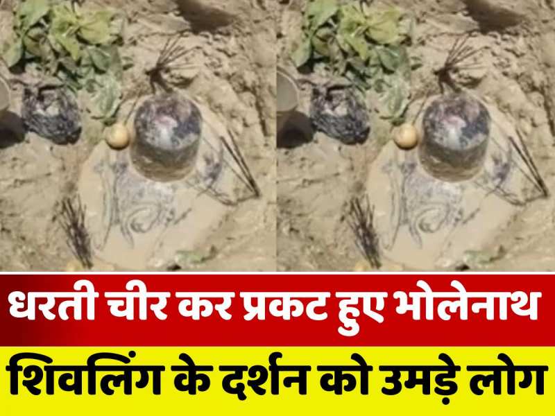 VIDEO: नवादा में चमत्कार! धरती चीर कर निकला शिवलिंग, पूजा-अर्चना आरंभ
