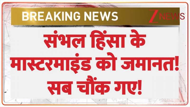 संभल हिंसा के मास्टरमाइंड को जमानत! सब चौंक गए! संभल हिंसा के मास्टरमाइंड को जमानत! सब चौंक गए!