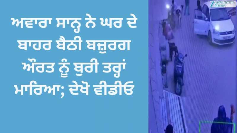 Khanna: ਅਵਾਰਾ ਸਾਨ੍ਹ ਨੇ ਘਰ ਦੇ ਬਾਹਰ ਬੈਠੀ ਬਜ਼ੁਰਗ ਔਰਤ ਨੂੰ ਬੁਰੀ ਤਰ੍ਹਾਂ ਮਾਰਿਆ; ਦੇਖੋ ਵੀਡੀਓ