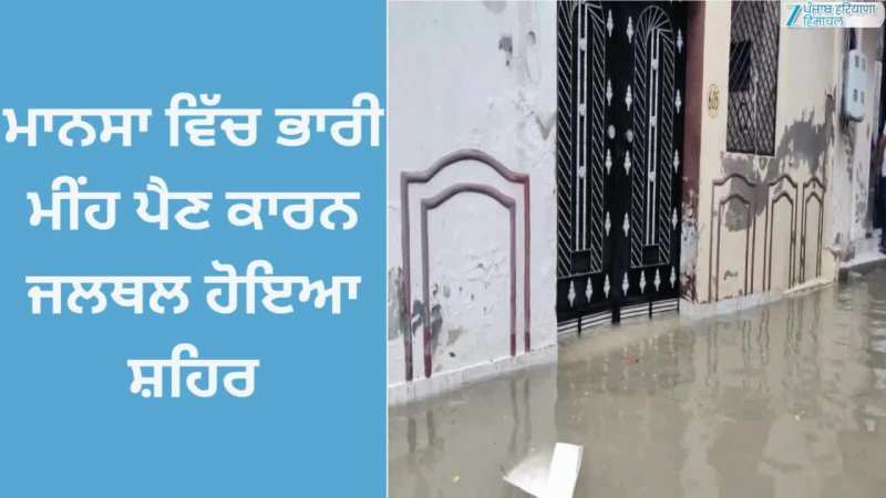  Mansa News: ਭਾਰੀ ਮੀਂਹ ਪੈਣ ਨਾਲ ਮਾਨਸਾ ਹੋਇਆ ਜਲਥਲ; ਘਰਾਂ ਵਿੱਚ ਵੜ੍ਹਿਆ ਪਾਣੀ
