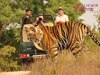 Gurugram News: गुरुग्राम में क्यों बनाया जा रहा है दुनिया का सबसे बड़ा जंगल सफारी पार्क ?