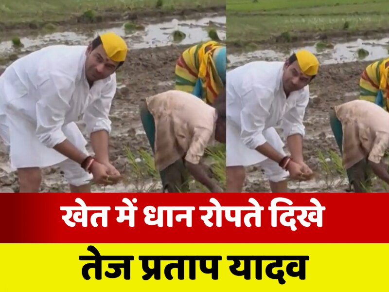शाहपुर में तेज प्रताप यादव ने खेत में उतरकर की धान रोपनी, महिला किसानों से जाना हालचाल