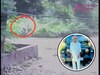 Haryana News: रेवाड़ी में बुजुर्ग की मौत का Video, पीने का पानी लेने जाते समय बेकाबू होकर नाले में गिरे 
