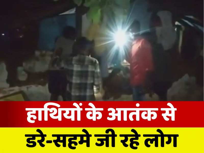 Latehar Elephant Terror: लातेहार में जंगली हाथियों का आतंक जारी, गांव में घुसा झुंड से बिछड़ा एक हाथी