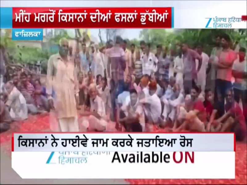 ਫਾਜ਼ਿਲਕਾ ਦੇ ਪਿੰਡ ਟਾਹਲੀਵਾਲਾ 'ਚ ਕਿਸਾਨਾਂ ਦਾ ਧਰਨਾ, ਡ੍ਰੇਨੇਜ ਵਿਭਾਗ ਦਾ SDO ਵੀ ਧਰਨੇ 'ਚ ਹੋਇਆ ਸ਼ਾਮਲ