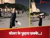 Viral Video