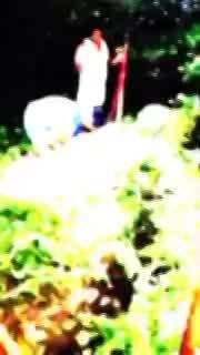 Shahjahanpur Video: गलियों में घूमता दिखा मगरमच्छ, तो कंधे पर लाद युवक ने बनाई रील, फिर किया ये कांड