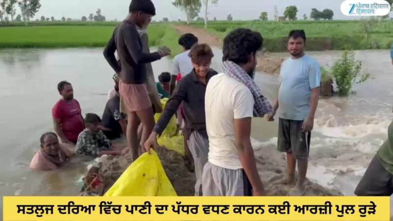 Ferozepur News: ਸਤਲੁਜ ਦਰਿਆ ਵਿੱਚ ਪਾਣੀ ਦਾ ਪੱਧਰ ਵਧਣ ਕਾਰਨ ਕਈ ਆਰਜ਼ੀ ਪੁਲ ਰੁੜੇ