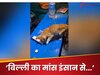 इंसान से ज्यादा अच्छा मांस बिल्ली... केरल के शख्स ने Instagram स्टोरी पर डाली ऐसी पोस्ट, मच गया बवाल