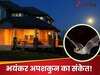 घर में इस जीव का दिखना बेहद अशुभ, तहस-नहस हो जाता है जीवन, बुरा वक्‍त नहीं छोड़ता पीछा!