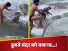 Viral Video