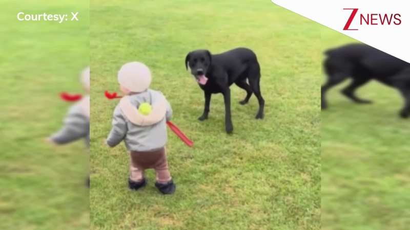 शर्त है इतना प्यारा वीडियो कहीं नहीं देखा होगा, कुत्ते के साथ बॉल से खेलता हुआ नजर आया बच्चा, जैसे ही फेंकी गेंद ...