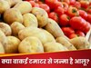 क्या सच में टमाटर की कोख से निकला है आलू? साइंटिस्ट की इस नई खोज ने हिला दी दुनिया!