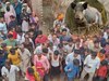 wild boar attack 