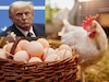 Trump Tariff: 'ट्रंप टैरिफ' से मुर्गियों पर आफत! अटक गई 1 करोड़ अंडों की सप्लाई, अब ब्रेकफास्ट में क्या खाएंगे अमेरिकी