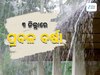Odisha Weather Updates: ଉତ୍ତର ଭାରତରେ ବର୍ଷା ବିତ୍ପାତ, ଓଡ଼ିଶାରେ ୩ ଜିଲ୍ଲାରେ ବର୍ଷା ପାଇଁ ଆର୍ଲଟ ଜାରି