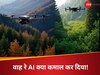 फोटो साभार- (Grok)