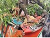 Barabanki News: रोडवेज बस पर 'मौत' बनकर गिरा विशालकाय पेड़, ड्राइवर समेत 5 की मौत, कई घायल