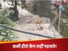 Video: डर से आजादी तक... तेज बहते पानी में फंसे कुत्ते को निकालने के लिए युवक ने लगाया दिमाग, ऐसे बचा ली जान; देखें वायरल वीडियो