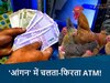 Vanaraja Poultry Farming: शहडोल के किसान ने घर के आंगन में लगाया चलता-फिरता एटीएम! दिन दूनी रात चौगुनी हो रही कमाई