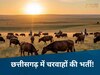 Meta AI (सांकेतिक तस्वीर)