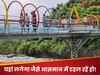 हरियाली और झरनों के बीच टंगा महाराष्ट्र का ये ग्लास ब्रिज, खड़े होकर लगता है जैसे आसमान में टहल रहें हो
