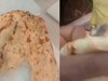 Lizard found tandoori roti