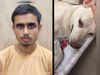 छी-छी! लखनऊ में युवक ने किया डॉगी से दुष्कर्म, वायरल वीडियो देख भड़के NGO, आरोपी गिरफ्तार