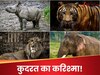 120 किलो होता है वजन, फिर कैसे पैदा होते ही चलने लगते हैं इस जानवर के बच्चे?