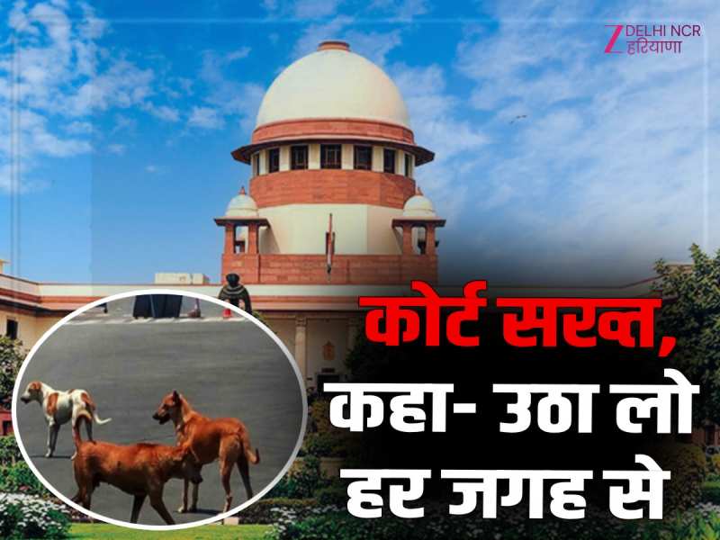 दिल्ली-एनसीआर की गलियों को लावारिस कुत्तों से फ्री करो, SC का सख्त निर्देश 