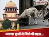 कुत्तों को पकड़कर... किसी ने रोका तो.... स्ट्रीट डॉग को लेकर सुप्रीम कोर्ट ने जारी किए सख्त दिशानिर्देश