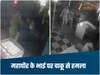 Ujjain News-उज्जैन में गुंडों का तांडव, सौंफ नहीं देने पर खूनी जंग, महापौर के भाई पर चाकू से हमला