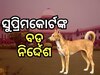 ଦିଲ୍ଲୀ-ଏନସିଆର ରାସ୍ତାରୁ ହଟିବେ ବୁଲା କୁକୁର !