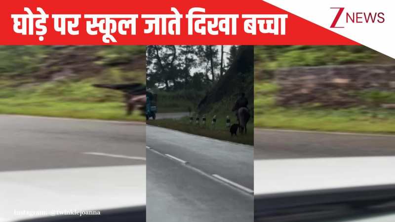 घोड़े पर सवार होकर स्कूल जाते दिखा बच्चा, इंटरनेट वाले कहने लगे 'COOL'; लेकिन एक चीज दिल जीत लेगी, देखिए जरा..