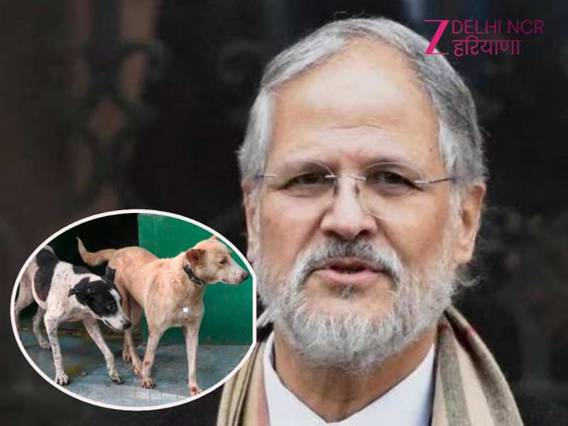 खान मार्केट या गोल्फ क्लब के कुत्तों को शेल्टर होम में रखना अन्याय: नजीब जंग 