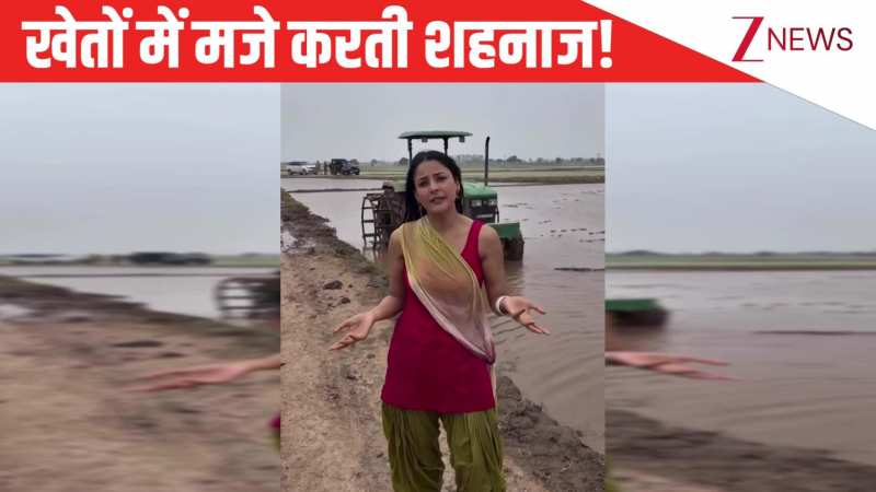 शूट के बीच में खेतों में मस्ती करते दिखीं Shehnaaz Gill, गांववाली बन फैंस को दिखाया ट्रैक्टर; दिल जीत लेगा अंदाज