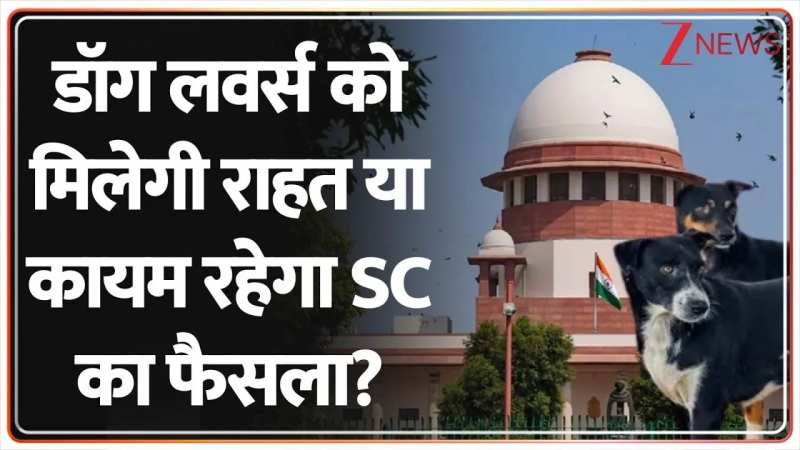 डॉग लवर्स को मिलेगी राहत या कायम रहेगा SC का  फैसला?