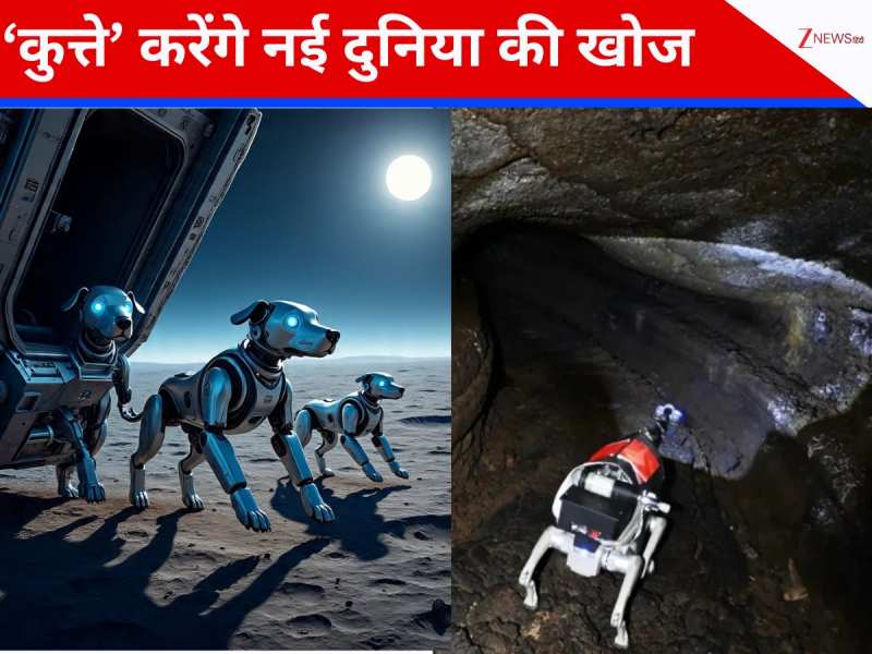 चांद के अंडरग्राउंड मिशन की तैयारी, चीन के 'कुत्ते' करेंगे गुफाओं की खोज 