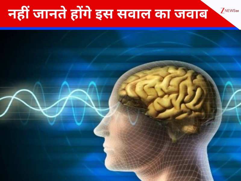 Trending Quiz: क्या आपको पता, मरने के बाद भी दिमाग कुछ देर तक काम करता है? 