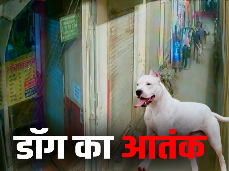 नोएडा में पालतू डॉग का डरावना वीडियो, टहल रहें बुज़ुर्ग दंपत्ति पर किया हमला, वीडियो वायरल