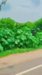 Unnao Video: रील का ऐसा नशा? बिना हेलमेट युवक ने बाइक पर खड़े होकर दिखाया टशन