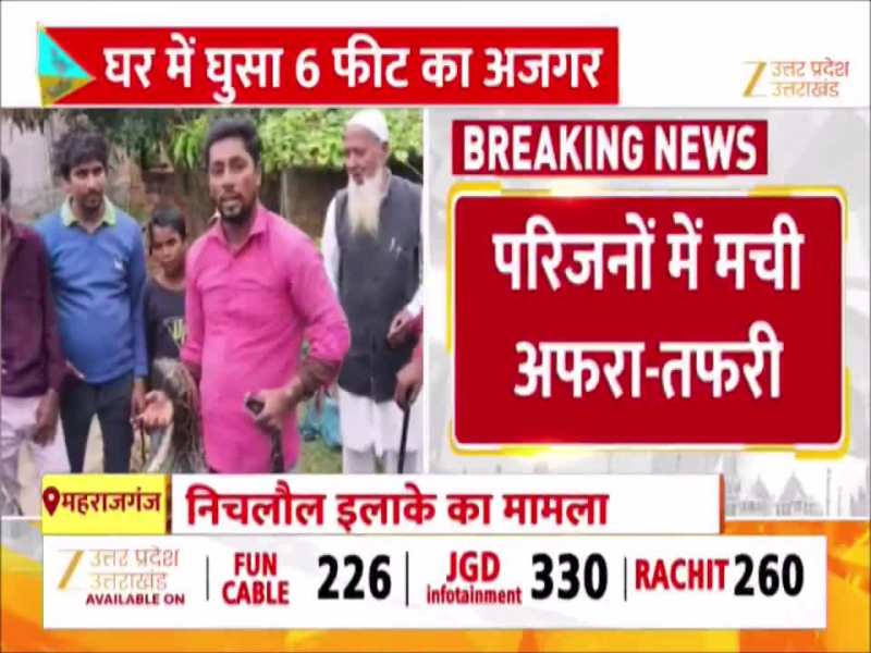 महाराजगंज में घर में घुसा विशालकाय अजगर, देखने वालों के छूटे पसीने, मच गई भगदड़