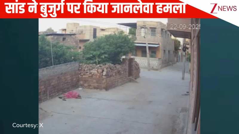 गुस्साई बैल ने बुजुर्ग महिला पर किया जानलेवा हमला, दीवार से टकराने के बाद कई देर तक सड़क पर पड़ी रही. देखें दर्दनाक घटना