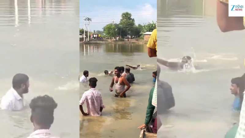 Viral Video: ପୋଖରୀକୁ ଡେଇଁ ବୁଡ଼ି ବୁଡ଼ି ମାଛ ଧରିଲେ ରାହୁଲ ଗାନ୍ଧୀ, ଦେଖନ୍ତୁ ଏହି ଭିଡିଓ...