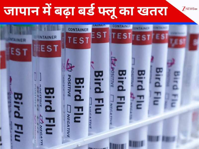 जापान में Bird Flu का कहर, मारी गई 6 लाख से ज्यादा मुर्गियां; अलर्ट जारी